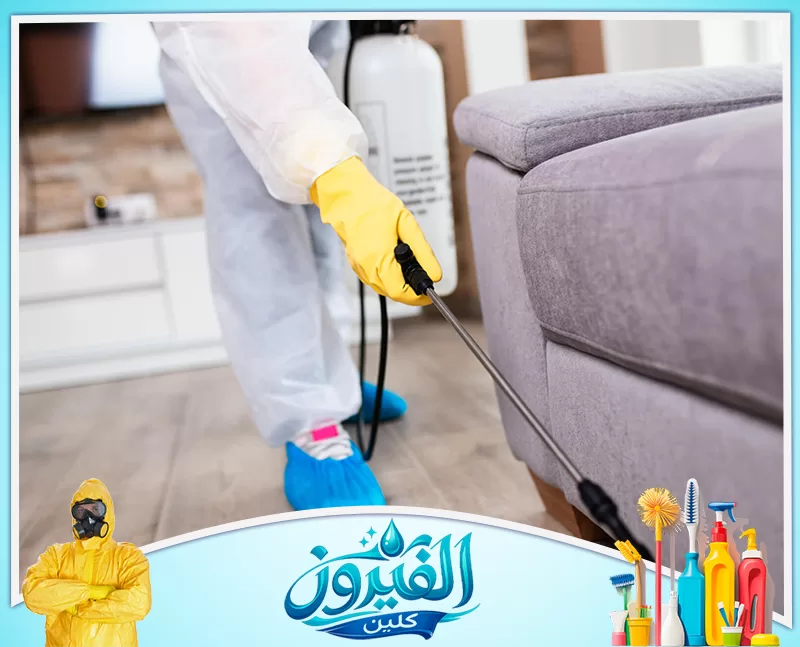 مكافحة بق الفراش في رأس تنورة 0562185880 شركة الفيروز متخصص في مكافحة الآفات يرش أريكة داخل المنزل باستخدام مبيد حشري آمن وفعال.