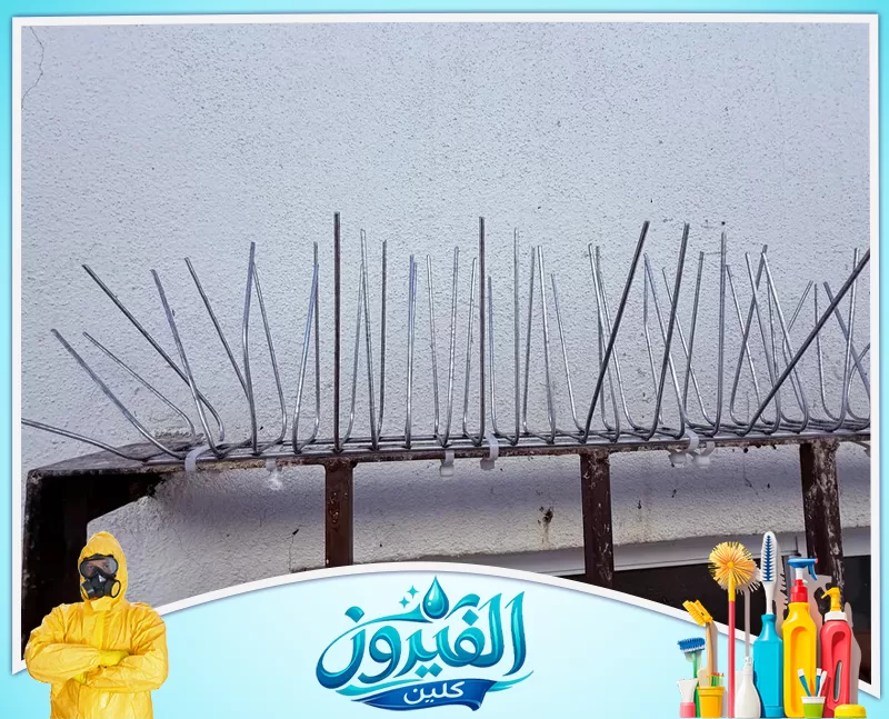 تركيب سلك طارد الحمام 0562185880 شركة الفيروز أشواك معدنية طاردة للطيور مثبتة بمتانة على إطار حديدي أمام جدار أبيض، حل مثالي لمنع وقوف الحمام والحفاظ على نظافة المكان.