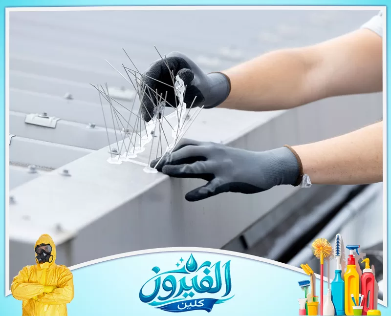 شركة مكافحة الحمام في البيوت بالجبيل 0562185880 شركة الفيروز فني يرتدي قفازات واقية يقوم بتركيب أشواك معدنية طاردة للطيور على سطح مبنى، لحمايته من تراكم الأوساخ والحمام.