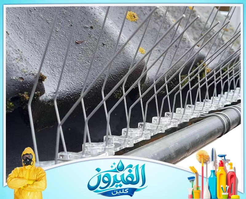 شركة مكافحة الحمام برأس تنورة 0562185880 شركة الفيروز مسامير معدنية مرخية مرخية في قاعدة شفافة لحماية الأسطح من الطيور.