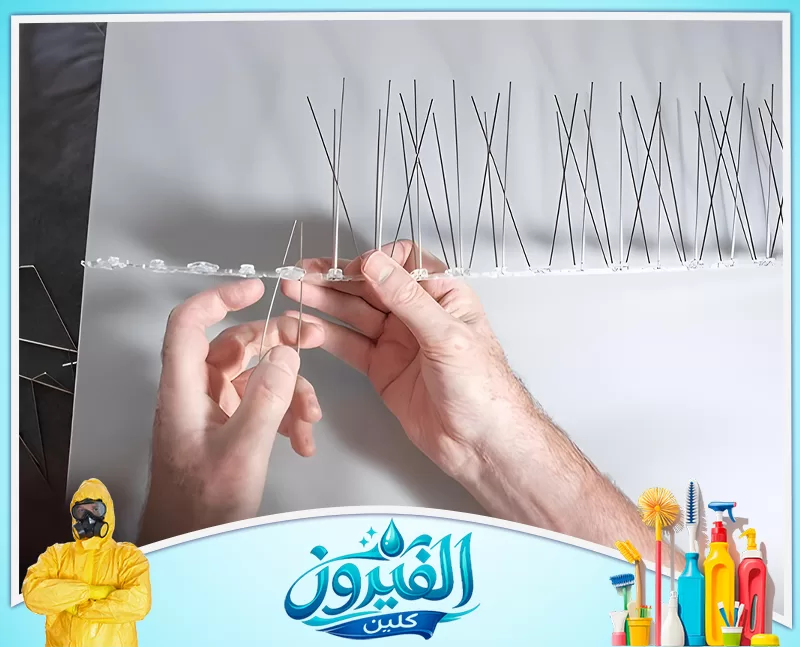 طارد الحمام للمكيفات بالظهران 0562185880 شركة الفيروز طريقة تركيب أشواك طرد الطيور يدوياً لإبعاد الحمام، طريقة فعالة وسهلة التركيب للحماية!