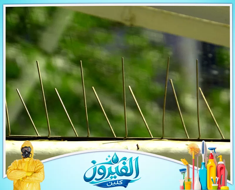 تركيب شبك طارد الحمام بالدمام 0562185880 شركة الفيروز أشواك مانعة للطيور مثبتة على حافة نافذة، توفر حماية فعالة ونظيفة للمباني من تجمع الحمام والطيور المزعجة.