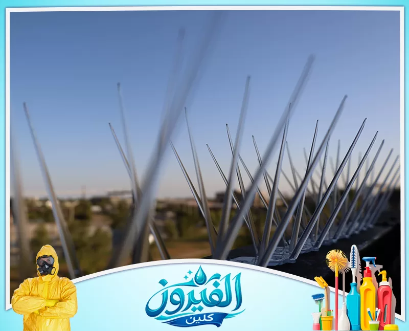 تركيب شبك النوافذ بالدمام 0562185880 شركة الفيروز أسلاك طاردة للحمام مدببة ومثبتة بإحكام لحماية الأسطح من الأوساخ، حل مثالي وعملي للحفاظ على نظافة وجمال واجهة المبنى.