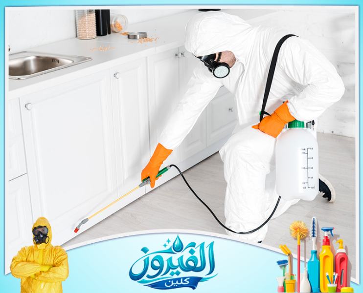 شركة مكافحة الحشرات في رأس تنورة
