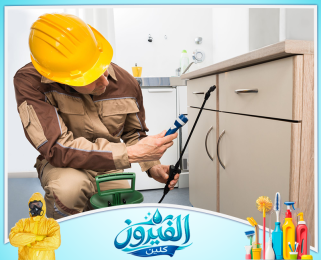 شركة مكافحة الحشرات في الجبيل