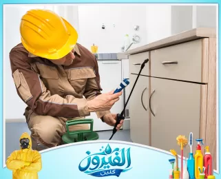 شركة مكافحة الحشرات في الجبيل
