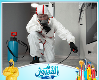 شركة مكافحة الحشرات في الخبر