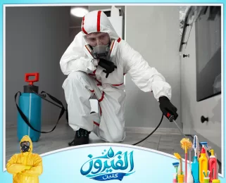 شركة مكافحة الحشرات في الخبر