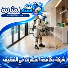 شركة مكافحة الحشرات في القطيف