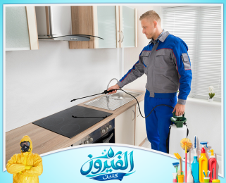 شركة مكافحة الحشرات في القطيف