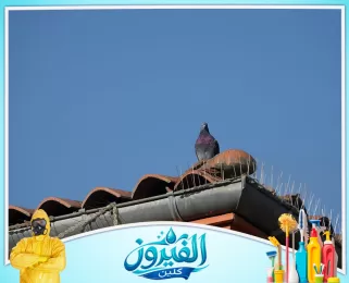 شركة تركيب طارد حمام في الدمام