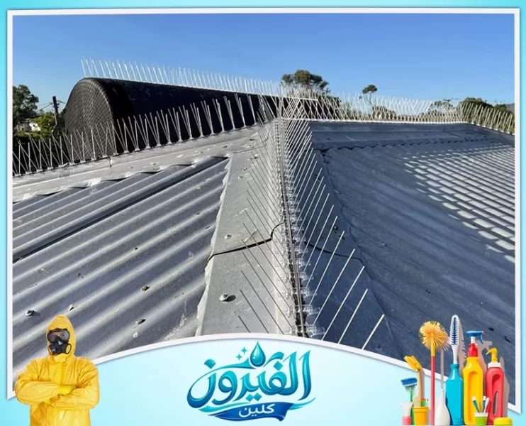 شركة تركيب طارد حمام في الظهران