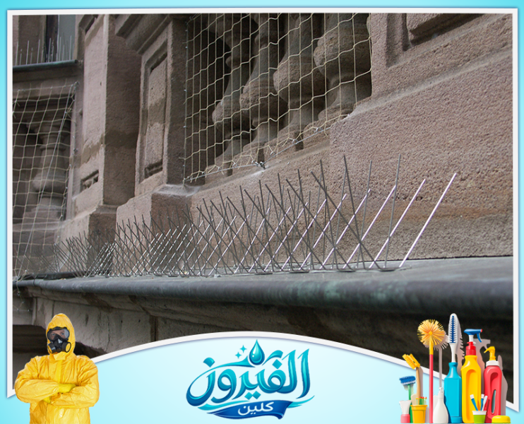 شركة تركيب طارد حمام في الجبيل