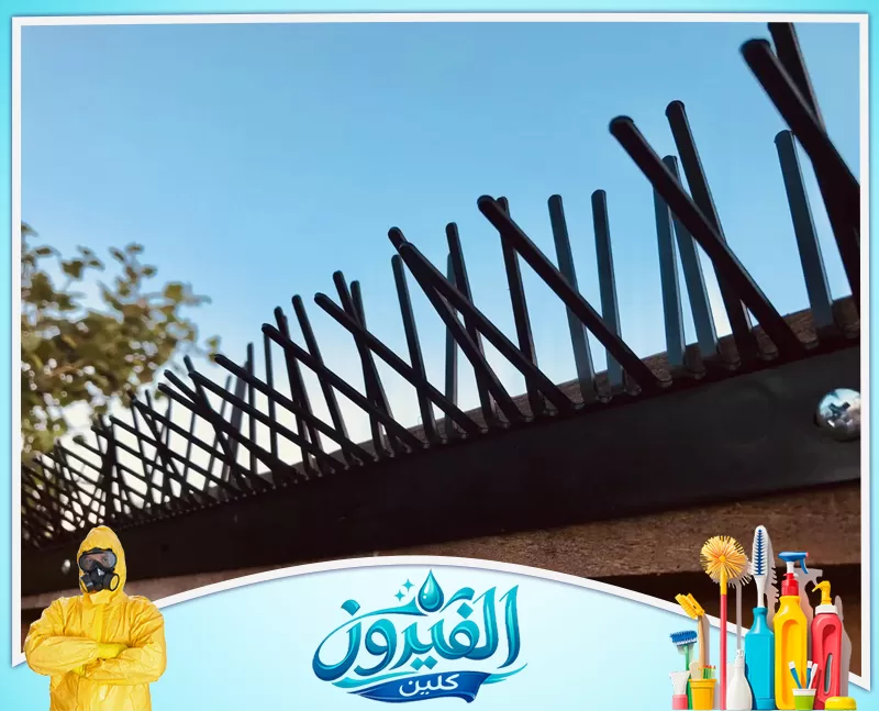 طارد حمام للشبابيك في الخبر 0562185880 شركة الفيروز أشواك بلاستيكية سوداء مثبتة على حافة سور لمنع وقوف الطيور أو تسلل القطط، تظهر بوضوح تحت سماء زرقاء صافية.
