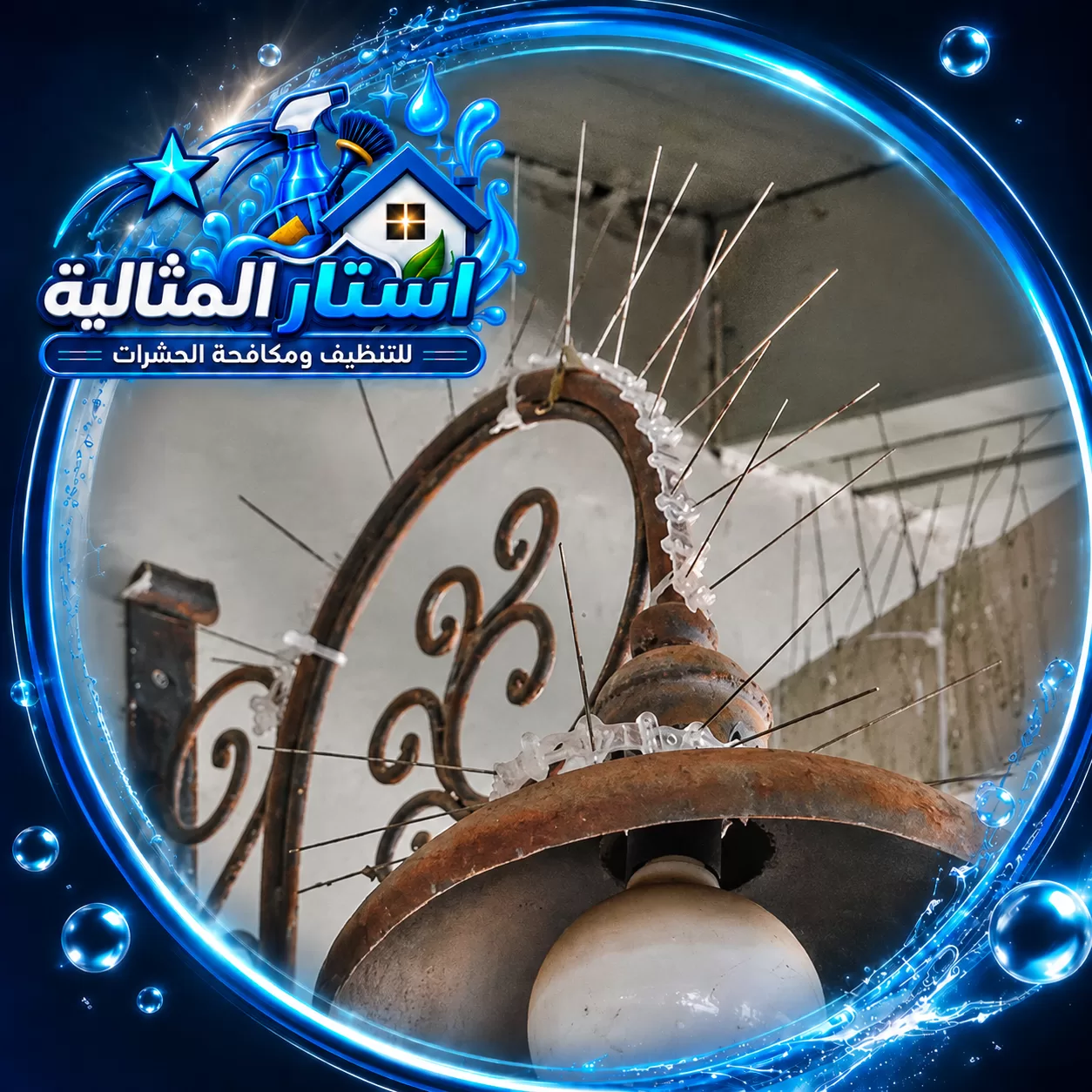 أشواك طارد الحمام مثبتة على إطار معدني منحني