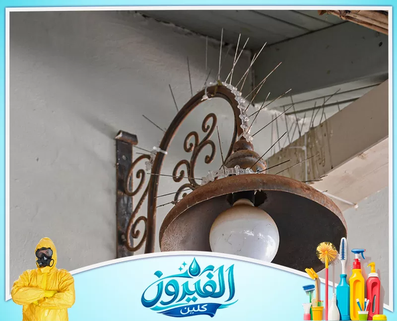 شبك طارد الحمام للمناور في الخبر 0562185880 شركة الفيروز أشواك معدنية طاردة للطيور مثبتة بعناية فوق مصباح خارجي عتيق وإطاره المزخرف، لحمايته من الأوساخ وضمان نظافة المكان.