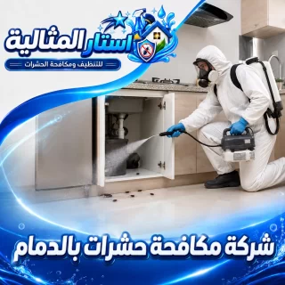 شركة مكافحة حشرات بالدمام