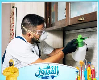 شركة مكافحة الحشرات في الدمام