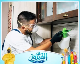 شركة مكافحة الحشرات في الدمام