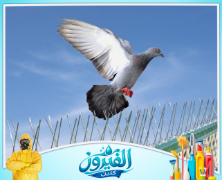شركة تركيب طارد حمام في الخبر