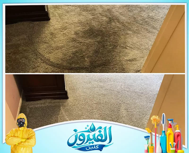 تنظيف شقة يشمل الغرف والمطبخ والحمامات بعناية