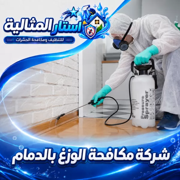 شركة مكافحة الوزغ بالدمام
