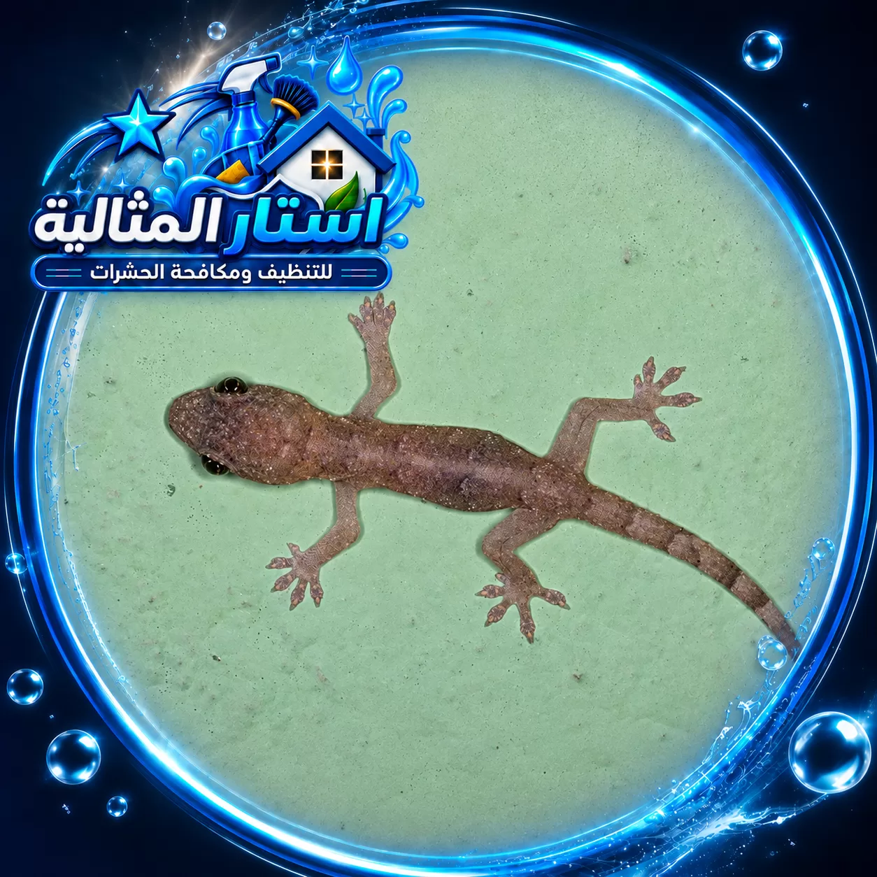 gecko spraying service dammam 1